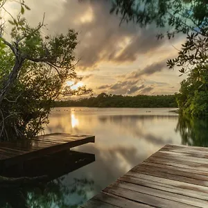 Lodge Yaxchen & Cenote, Tulum